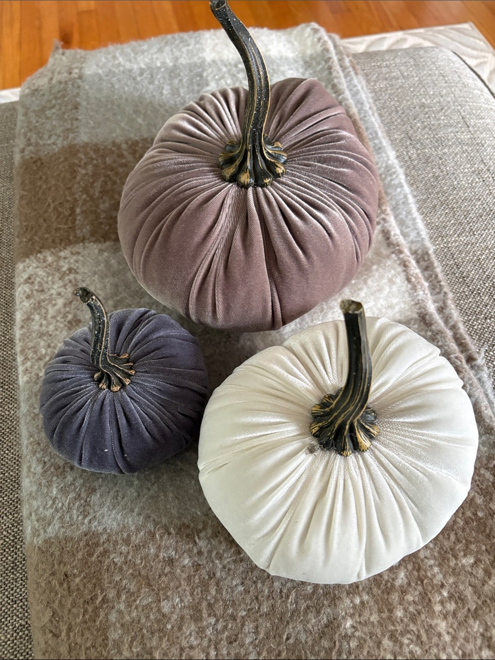 Velvet Holiday Pumpkin Trio - Taupe, Grey & Cream Decorative Set